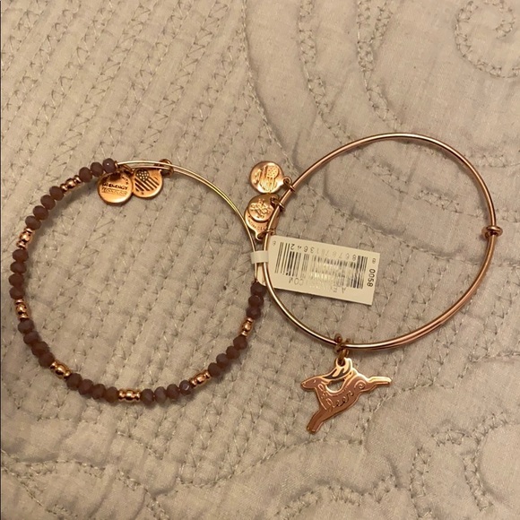 Alex and Ani holiday set 2017 - Picture 1 of 6